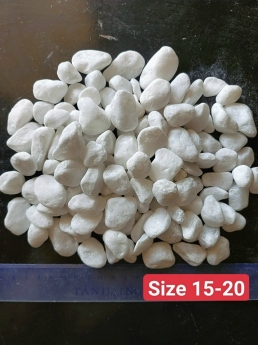 Sỏi tự nhiên rải lối đi bể cá