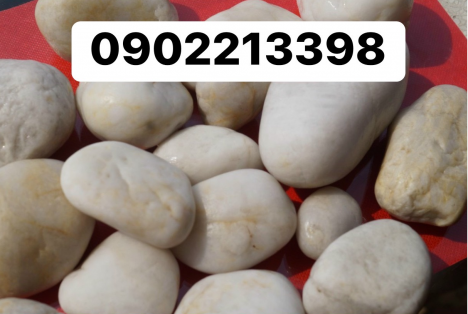 Sỏi tự nhiên rải lối đi bể cá