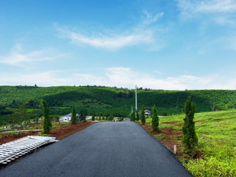 Bán rẻ lô đất 500m2 ngay trung tâm Lộc Đức , Bảo Lộc . Đường nhựa tới tận đất .