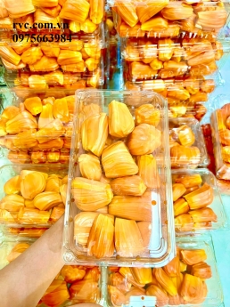 Hộp nhựa đựng trái cây 1kg P1000B chính hãng rẻ nhất toàn quốc
