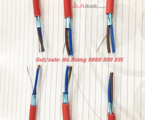 Cáp Chống Cháy chống nhiễu phôi nhôm 2 x 2.5 + E