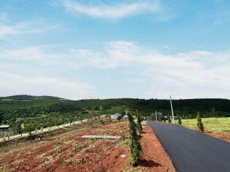 Bán rẻ lô đất 500m2 ngay trung tâm Lộc Đức , Bảo Lộc . Đường nhựa tới tận đất .