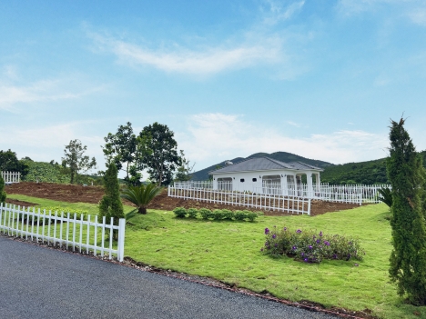 Bán rẻ lô đất 500m2 ngay trung tâm Lộc Đức , Bảo Lộc . Đường nhựa tới tận đất .