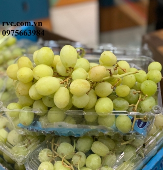 Hộp nhựa đựng trái cây 1kg P1000B chính hãng rẻ nhất toàn quốc