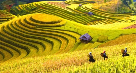 đất ngộp cho nhà đầu tư, tại Suối Thầu, Tả Phìn, Sapa