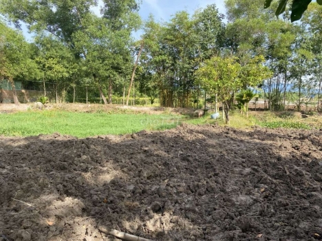 bán đất mặt tiền đường vành đai xã hoà khương
6000m2 có trong sổ 2140m2 có 200m2 đất ở
