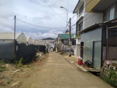 Cần bán gấp đất XD sổ riêng đường Hồ Xuân Hương, Đà Lạt giá chỉ 4.5 tỷ