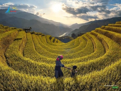 đất ngộp cho nhà đầu tư, tại Suối Thầu, Tả Phìn, Sapa