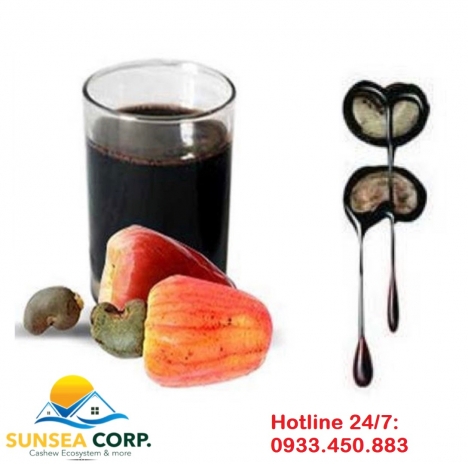 Cung cấp Dầu vỏ hạt điều số lượng lớn trong và ngoài nước. Hotline 24/7: 0933450883