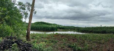 bán đất vườn xã hoà ninh huyện hoà vang
11,5 tỷ- 25.000 m2