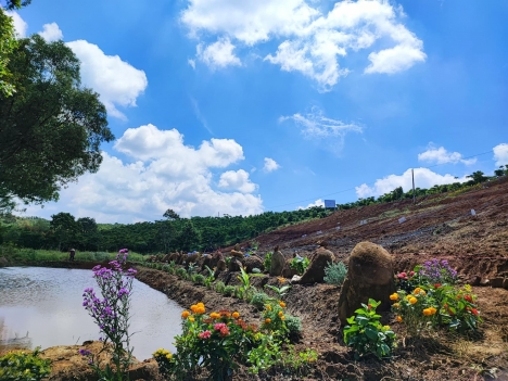 6000 m2 Bảo lộc lâm đồng