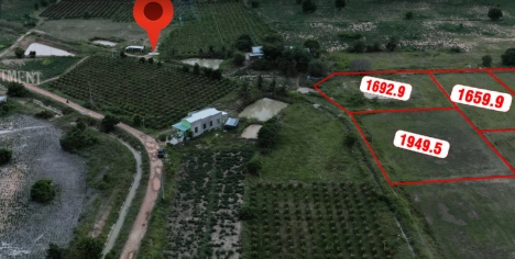 Chủ kẹt tiền bán chịu lỗ lô mặt tiền tuyến kênh Phan Thanh, Bắc Bình, Bình Thuận