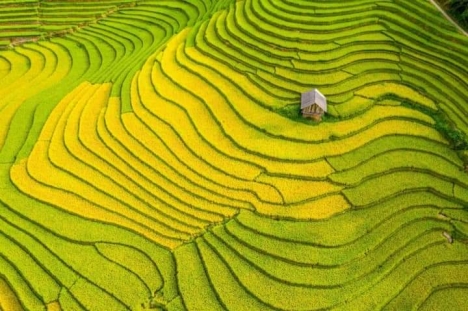 đất ngộp cho nhà đầu tư, tại Suối Thầu, Tả Phìn, Sapa