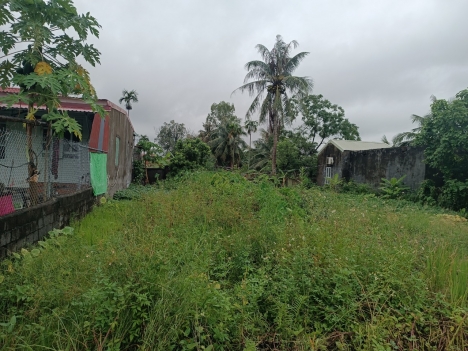 ngõ 176 hòa nghĩa dương kinh HP chi có 1,x tr m