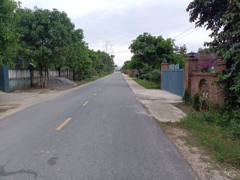Dạ hôm nào mình cf được hông ạ