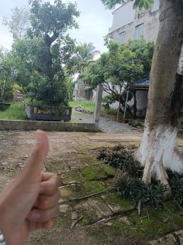 mặt đg 353 TDP quý kim 3 hợp đức  đồ sơn HP