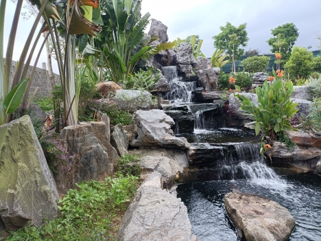 Cần bán 500.000m2 đất đất rừng sản xuất view suối