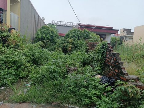 TDP 2 hòa nghĩa dương kinh  HP  100M ngang 5 giá 1,x tr .m