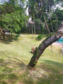 BÁN ĐẤT LƯƠNG SƠN HÒA BÌNH DT RỘNG - LÀM KHO XƯỞNG - NGHỈ DƯỠNG ĐỀU ĐƯỢC - GIÁ 4.X TỶ