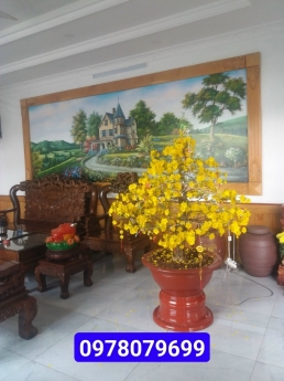 BIỆT THỰ KHC TP DĨ AN. 2MT. 3 TẦNG. DT 289M. GIÁ NHỈNH 26 TỶ
