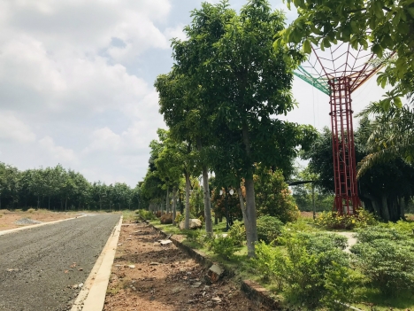 ĐẤT THÀNH PHỐ ĐỒNG XOÀI BÌNH PHƯỚC  GIÁ RẺ