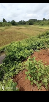 Sở Hữu Ngay Lô Đất Siêu Đẹp Chi Lăng, TP Pleiku Giá Siêu Đầu Tư