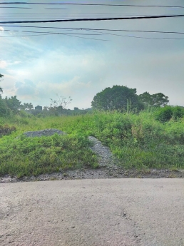 BÁN ĐẤT LƯƠNG SƠN HÒA BÌNH 1.2 TR/M CÓ 400M THỔ CỨ VIEW THOÁNG MÁT