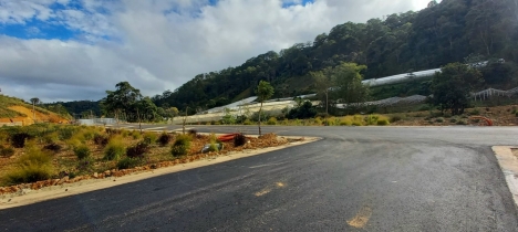 Càn bán lô đất nghỉ dưỡng ở Lạc Dương, Tỉnh Lâm Đồng, giá 8,1 tỷ