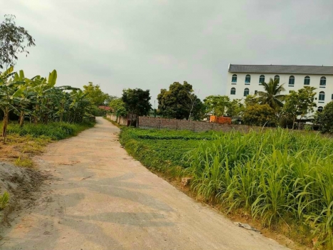 Sở Hữu Ngay 2 Lô Đất Đẹp Chính Chủ Tại Tỉnh Vĩnh Phúc.