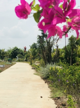 ĐẤT THÀNH PHỐ ĐỒNG XOÀI BÌNH PHƯỚC  GIÁ RẺ