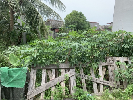 Chủ Nhờ Bán 90m2 ngay Hải Thành 1 , Dương Kinh Hải Phòng , giá chỉ 2,x tỷ Lh: Mr Truyền-3