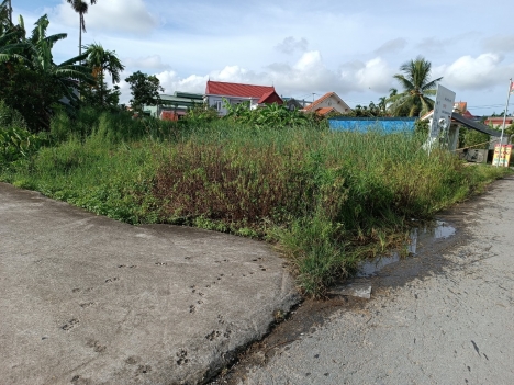 TDP 8 hưng đạo dương kinh  HP  mặt đg  giá 1,43 tỷ .m