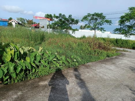 TDP 8 hưng đạo dương kinh  HP  mặt đg  giá 1,43 tỷ .m