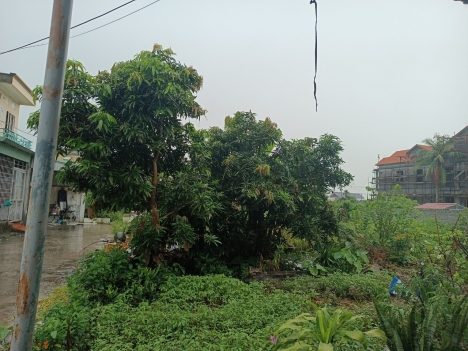 tuyến 2 đg vũ hội  hải thành dương kinh 90m giá 2,x tr m 

 

  tuyến 2 đg vũ hội  hải thành