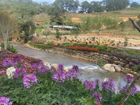 Càn bán lô đất nghỉ dưỡng ở Lạc Dương, Tỉnh Lâm Đồng, giá 8,1 tỷ