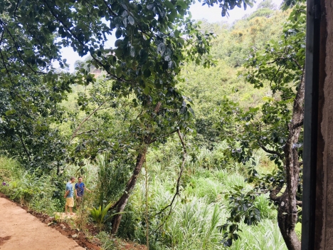 Cần tiền bán gấp đất sổ riêng view thoáng đường Khe Sanh, Đà Lạt 505m2 giá 3.2 tỷ