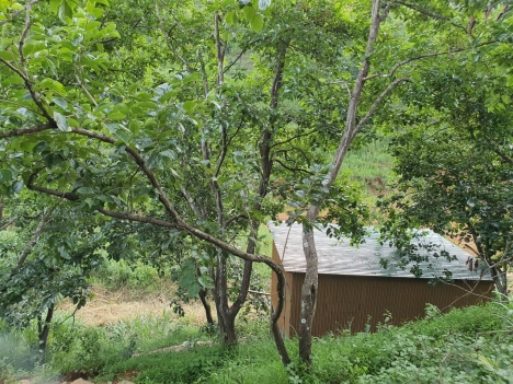 Cần tiền bán gấp đất sổ riêng view thoáng đường Khe Sanh, Đà Lạt 505m2 giá 3.2 tỷ