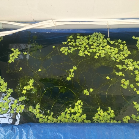 Nhà 80m2 giá 2 tỷ 1 đường Tôn Đản - Cẩm Lệ - Đậu ô tô ngày đêm.