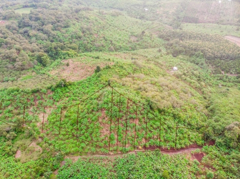 Lô đất vườn cách ql20 1.5km đường 3m đổ bê tông chỉ 900tr 1000m2 liên hệ em Hòa