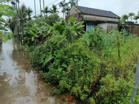 tuyến 2 đg  đại thắng Hòa Nghĩa Dương kinh HP chỉ có 7xx tr