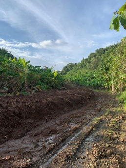 Lô đất vườn cách ql20 1.5km đường 3m đổ bê tông chỉ 900tr 1000m2 liên hệ em Hòa