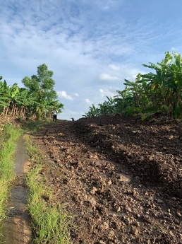 Lô đất vườn cách ql20 1.5km đường 3m đổ bê tông chỉ 900tr 1000m2 liên hệ em Hòa