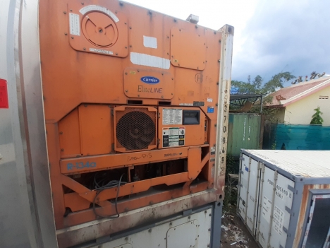 Container lạnh 20feet kem sầu riêng