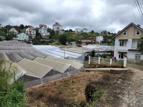 Bán đất nền Biệt Thự đường Nguyễn Hữu Cảnh, Đà Lạt 243m2 giá 9.7 tỷ