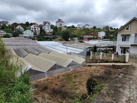 Bán đất nền Biệt Thự đường Nguyễn Hữu Cảnh, Đà Lạt 243m2 giá 9.7 tỷ