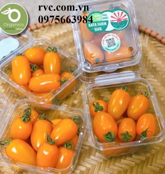 Cách bảo quản trái cây, rau củ hiệu quả bằng hộp nhựa đựng nông sản