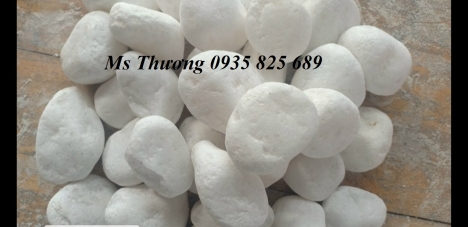 Sỏi Trang Trí Cảnh Quan Sân Vườn