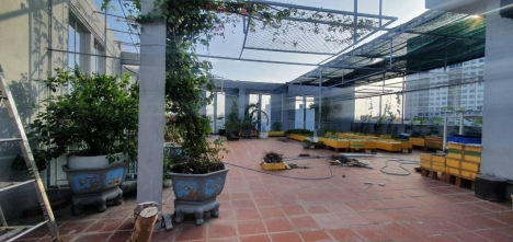 Sơn Trà – Giá Sập hầm -  Lô Góc Lê Tấn Trung – Thang  Máy - 259m2 -  Chỉ 26,8 tỷ