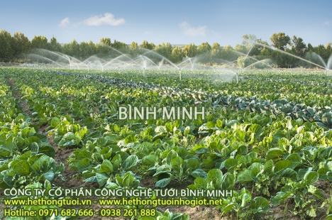 Tưới phun mưa azud, tưới nông nghiệp, hệ thống tưới tự động kiểu phun mưa