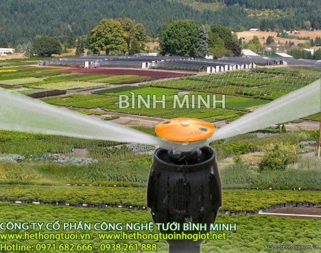 vòi phun mưa meganet, công ty nhập khẩu vòi phun mưa, vòi phun mưa bình minh